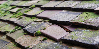 Jevington roof repair costs